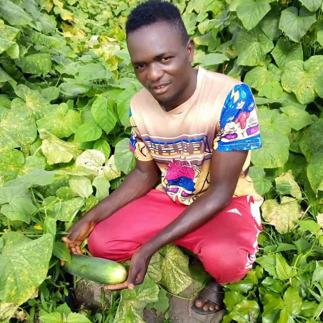 farmer with cucumber