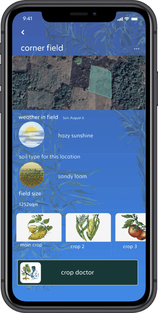 field home screen