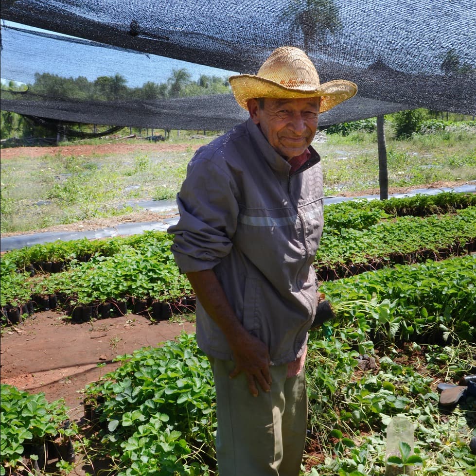 paraguay farmer