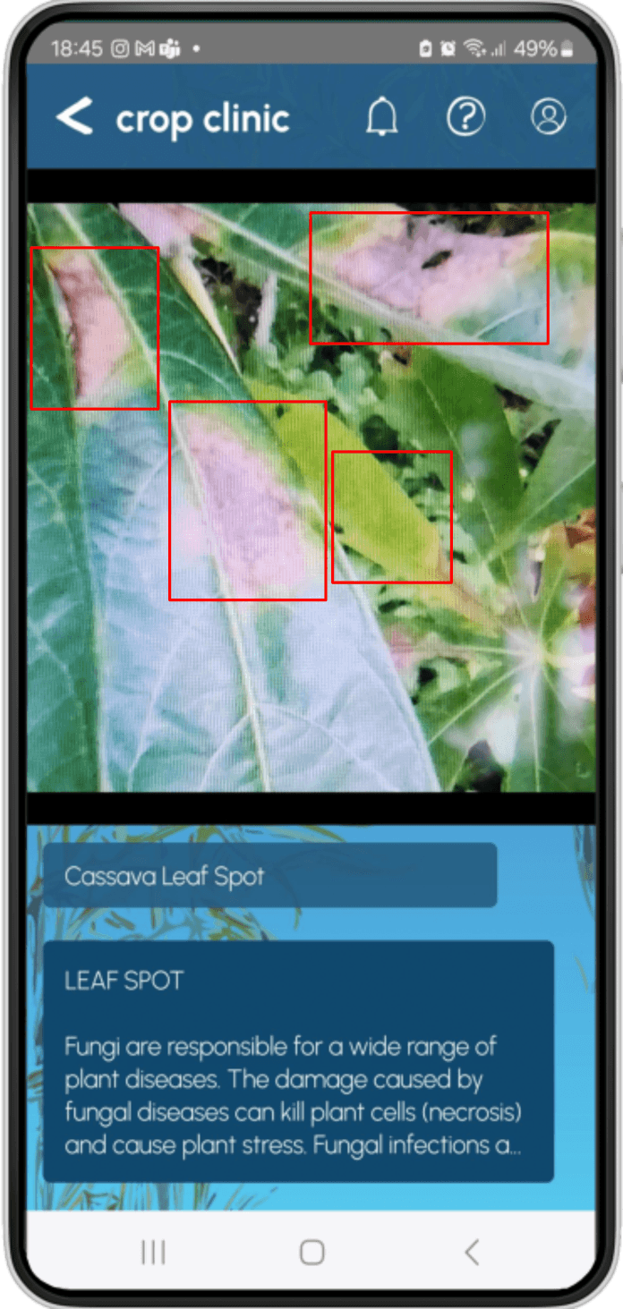 AI Crop Disease Diagnosis